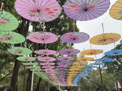 -人民公园(罗湖区)