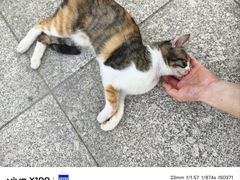 -西安外国语大学(长安校区)