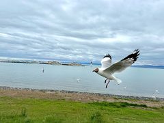 -青海湖二郎剑景区
