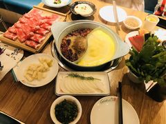 -青瓷火锅料理(西单大悦城店)