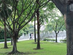 -顺峰山公园