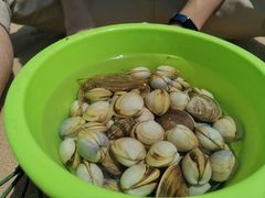 -刘家湾赶海园