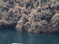 -鼎湖山风景区