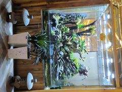 -六福酒馆(秦隆步行街店)