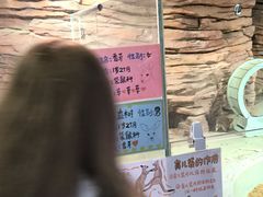 -正佳雨林生态植物园