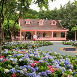 -广州市儿童公园