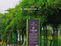-杭州湾海上花田景区