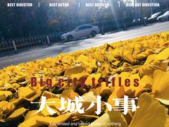 -三里屯东五街银杏大道