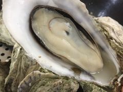 -蚝专家(北滘店)