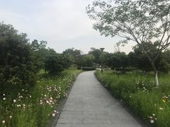 -长广溪湿地公园