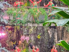 -正佳雨林生态植物园