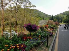 -深圳仙湖植物园