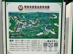 -野象谷景区