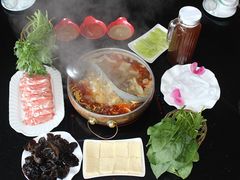 筋头巴脑一锅香-筋头巴脑牛一锅(朝阳路总店)