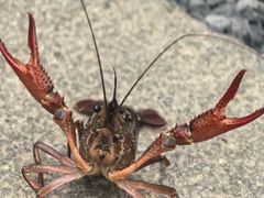 -奇迹健身(SM广场店)