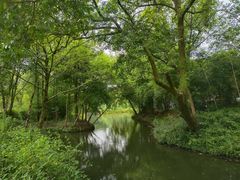 -西溪国家湿地公园