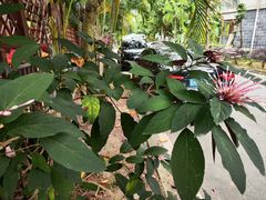 -吉森温泉养生酒店-中餐厅