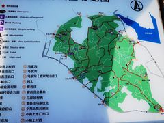 -云岗森林公园