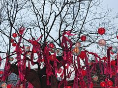 -红嫂家乡旅游区