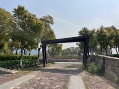 -春花秋色城市公园