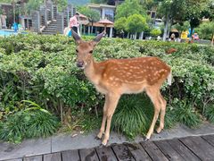 -宁波九龙湖开元度假村
