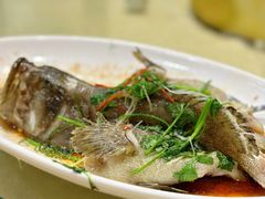 -御同亨酒楼·喜宴