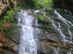 -五女峰国家森林公园