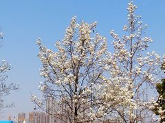 -云龙湖旅游景区