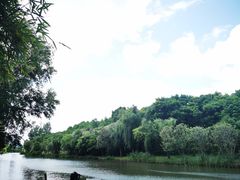 -新江湾城公园