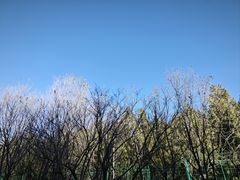 -北京西山国家森林公园