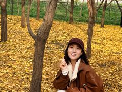 -森林公园(尖草坪区)