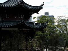 -四海公园(南山区)