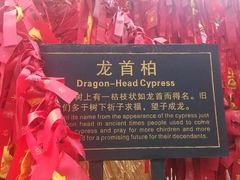 android_upload_pic-关林