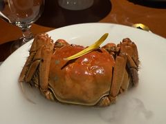 -觀芷隐轩