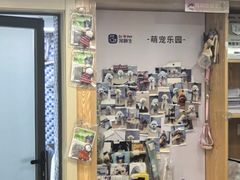 -宠颐生宠物医院·异宠猫科内科·诊疗中心宠巢店