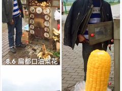 -扁都口生态休闲旅游区