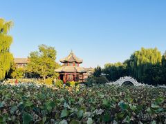 -莲池书院博物馆