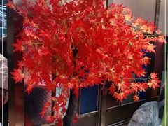 -池记大牌档(广纸店)
