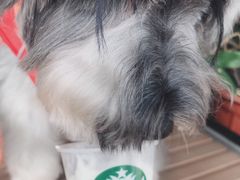-星巴克(珠海仁恒滨海中心店)