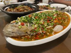 -飞虹鱼馆(春华路店)