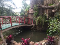 -石家庄市植物园