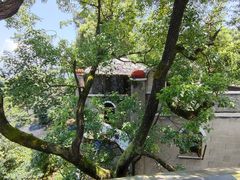 -城外有星光桥舍(南山店)