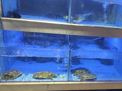 -王捌小院(红花坡店)