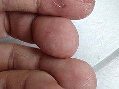 -明记烧鱼美味店