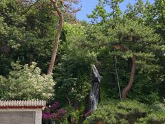-红螺寺