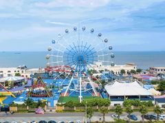 -巨鹏飞梦幻海岸