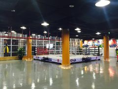 标准比赛拳台-天行健身＆天行拳馆跆拳道·格斗TXGYM
