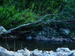 -北仑森林植物园