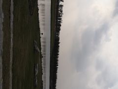 -春花秋色城市公园