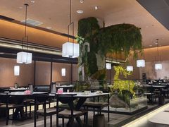 -阿露佳·舌尖上的安吉菜